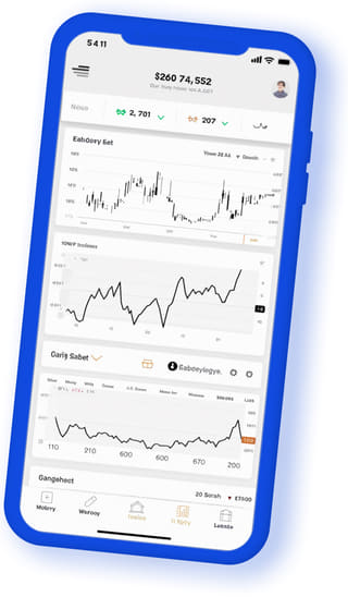 Prow Gewinode digital web application on mobile device